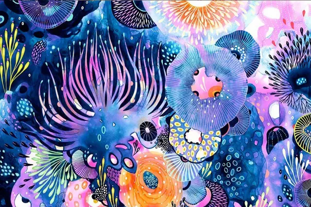 Artist Spotlight: Yellena James